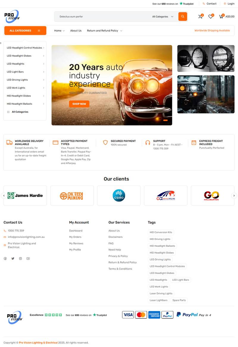 Pro Vision — full website screenshot